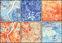 Using an innovative combination of the Sentinel-2 satellite mission and its dynamic time-series capabilities, along with phenological observations, biological scientists have made a promising advancement in mapping plant functional traits from space.