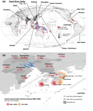 The urban development on the world's coastlines is a rising threat for coral reefs. (a) The map shows the population density (source: CIESIN, 2017), the world's megacities (source: UN, 2018), coral reefs (source: UNEP‐WCMC, WorldFish Centre, WRI, TNC, 2010), and the world's hotspot of coral biodiversity, the Coral Triangle (Veron et al., 2011). (b) Detail map of the Pearl River Delta region showing the eight major cities composing the megacity and the Hong Kong Special Administrative Region (HKSAR) and their populations. The four sites sampled for this study are indicated with outlined symbols. The coral communities having experienced a major decline are highlighted in color. Maps were made with the geographic information software QGIS (www.qgis.com)