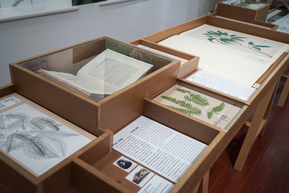 The exhibition Ecology In The Making - A History of Amateur Naturalists in Hong Kong is divided into five sections, featuring the stories of 12 individuals from 1816 to 1984.