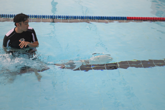 HKU Engineering student team developed robotic fish sets World Record for the second time 