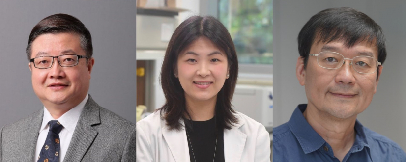 Coordinators of the three HKU-led TRS projects: Professor CHEN Zhiwei, Professor Stephanie MA and Professor Ron Shu-Yuen HUI