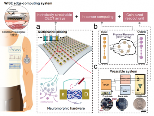 Schematic of the wearable in-sensor computing platform.
 