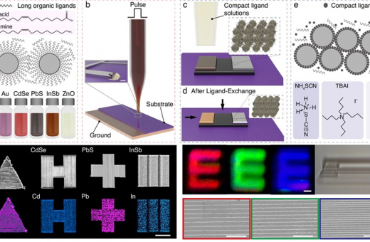 港大工程學者研製全球最小全打印紅外光電探測器