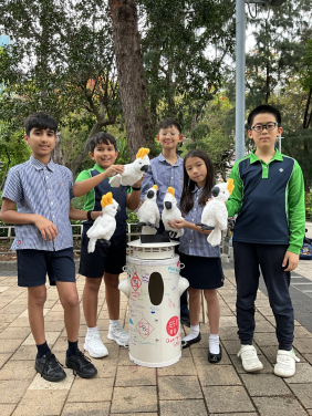 As part of the conservation project, the team is working with local schools to install specially designed artificial nest boxes, providing safe nesting sites for Hong Kong’s urban cockatoos. One of the boxes has been sponsored by Quarry Bay School and is installed in Victoria Park. Photo credit: Ceri Hill.