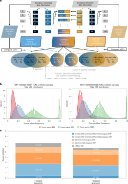 Overview of ClairS training data synthesis workflow