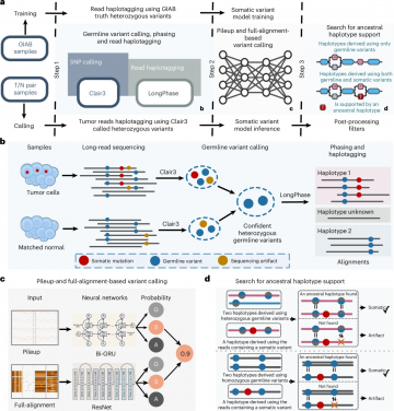 Overview of the ClairS somatic variant-calling workflow