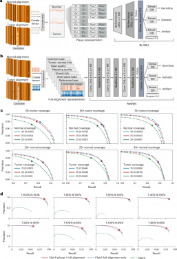 ClairS neural network architecture and benchmarking results on ONT HCC1395/BL 4 kHz dataset