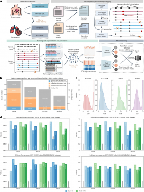 Enhancing ClairS with real cancer cell line datasets