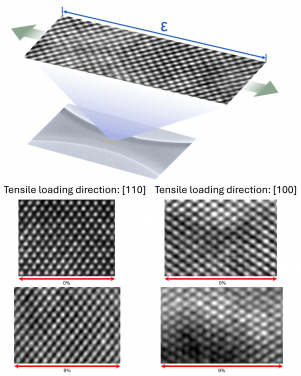 In situ HRTEM images show the quantified distribution of deep-strained atomic coordinates, indicating pure lattice elongation without extended defects or phase changes.